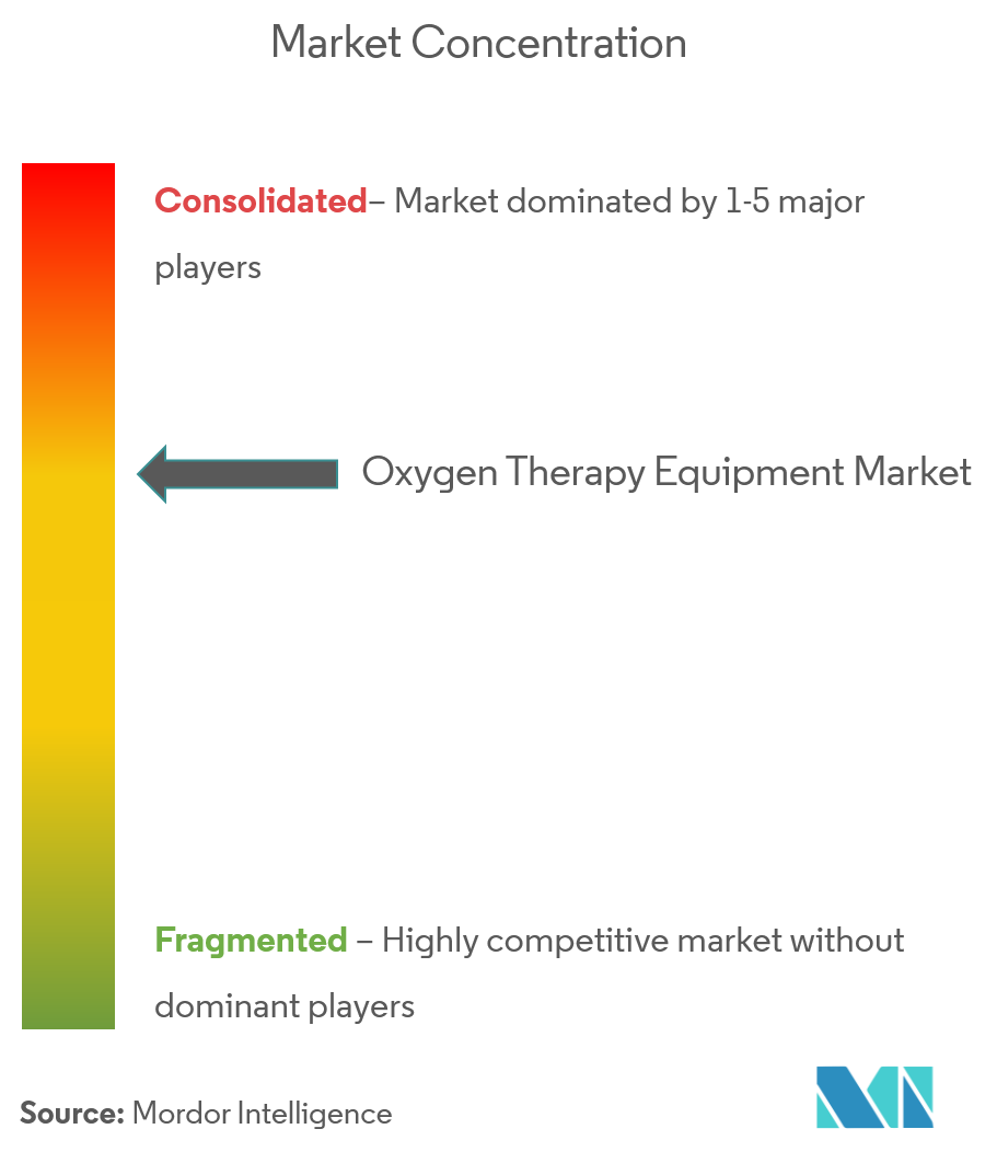 Oxygen Therapy Equipment Market Concentration